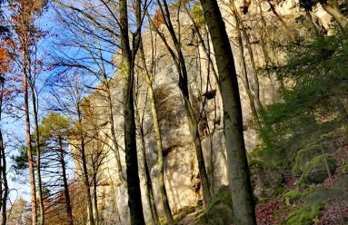 Haus Sommerseit'n Ruhe-Natur-Genuss - Photo 19