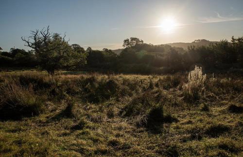 Luxury 2 Bed Woodland Cottage on Rewilding Estate - Foto 30