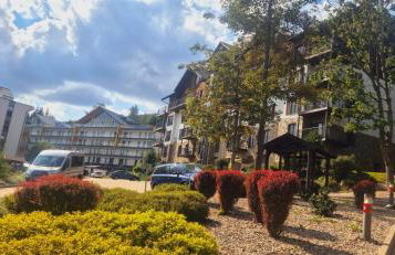 Środkowa widok na góry 1 piętro garaż gratis - Foto 23