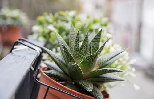 Quinta da Salada - Alojamento Local Douro - Foto 19