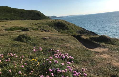 Tanyfron Llangrannog - Photo 24