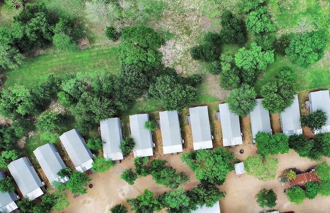 15 Son's Geronimo - Birdhouse Cabin - Foto 69