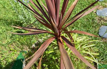 Appartement calme entre Côte Basque et Landes - Foto 24