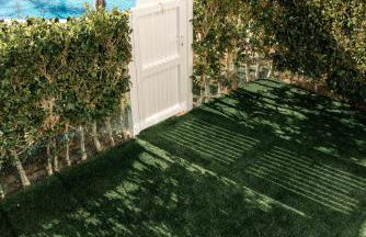 APARTAMENTO LUXURY EN PLANTA BAJA EN LA TORRE GOLF RESORt - Foto 3