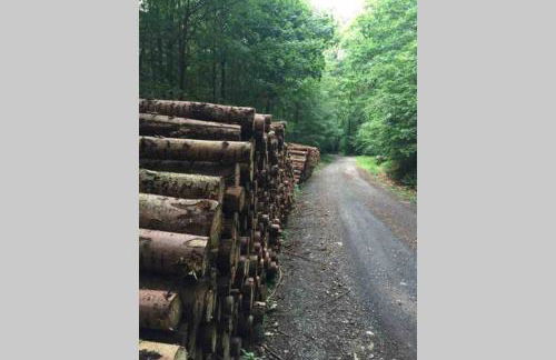 Ferienhaus Ackerbürgerhof in der Welterbestadt Quedlinburg - Foto 22