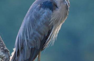 3 Acre Lake Paradise Swimming Pool & Jacuzzi HotTub! - Foto 73