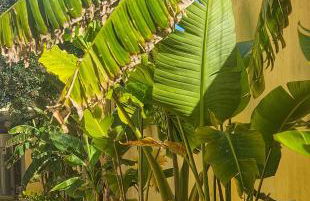 Domos de Ammentos - Foto 13