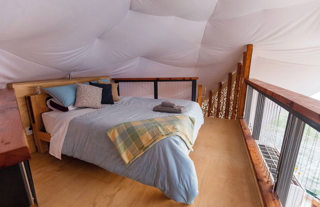 Escarpment Domes - Photo 8