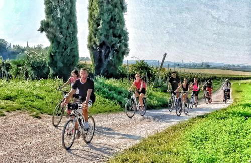 Agriturismo Nuvolino - Foto 26