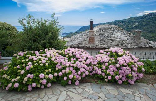 Villa Zina in Pelion - Foto 46