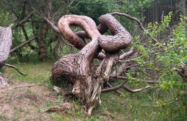 The Hideaway - Foto 26