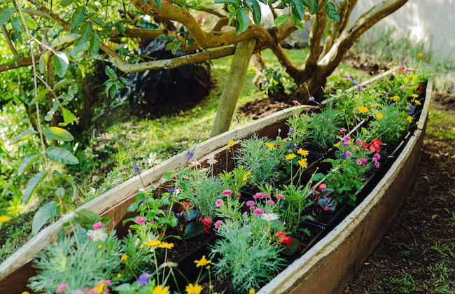 Gaia Experience - Foto 65