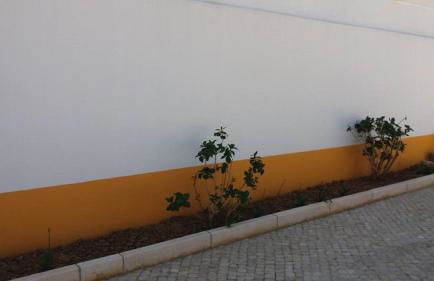 Alojamento JCP - Photo 12