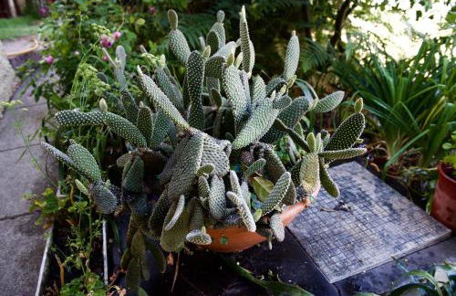 Casa Rural de Tío Félix - Foto 39