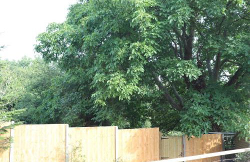 Walnut Tree View - Foto 11