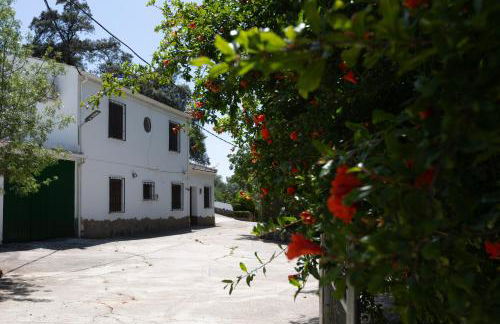 Cortijo el Chaparro - Foto 8