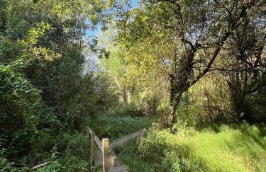 Star Gazing Dome 2 with Log Burner & Optional Hot tub - Foto 27