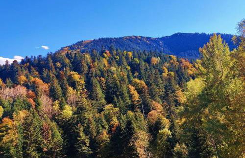 Logement 6 pers au cœur des montagnes pyrénéennes linge de maison et papier toilette non fournis - Foto 25