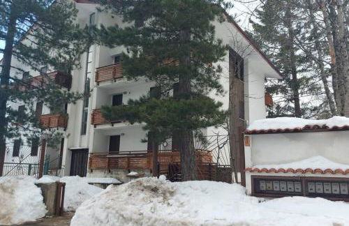 Comodo appartamento in Sila Moccone-Camigliatello - Foto 23