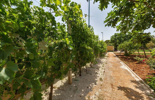 3048 Villette Tundo by Barbarhouse - Foto 43