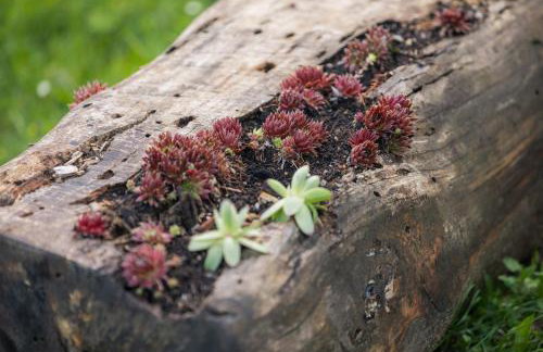 Apartment Mia - Foto 38