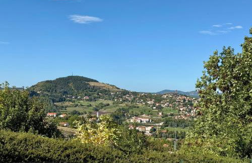 Appartement cosy à deux minutes du Puy-en-Velay - Foto 5