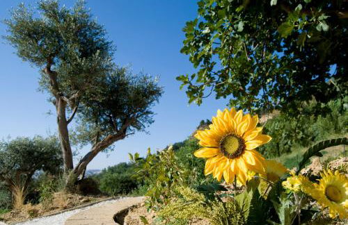 Agriturismo Il Falco - Foto 18