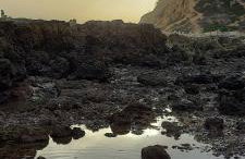 Jeannie's Oura Estrela - Foto 60