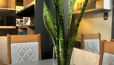 Apart Zen Santa Inês - Foto 2