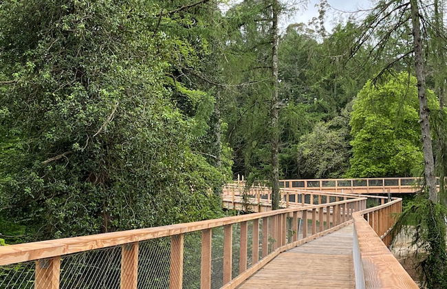 Aughrim Holiday Village - Photo 60