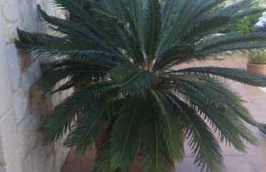 Villa Eftichia - Photo 43