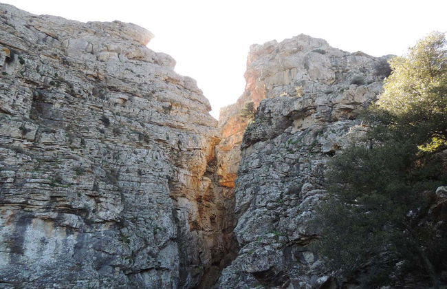 Tour en 4x4 por Kavusi, Skouros y Richtra - Foto 2