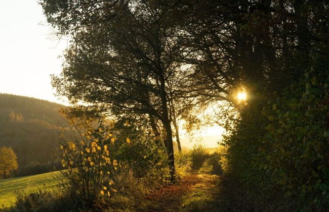 Holiday Home in Willingen-neerdar - Photo 18