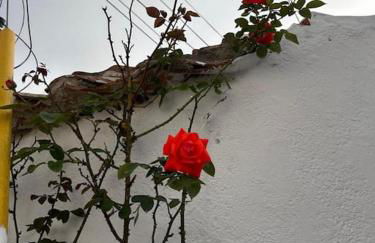 Boutique Surf House in Surf Paradise - Foto 60