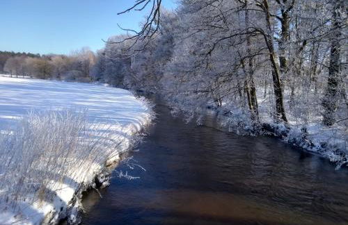 Villa Duck-Dich-Südheide - Photo 43