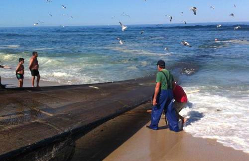 Verde Ria apartamento - Foto 22