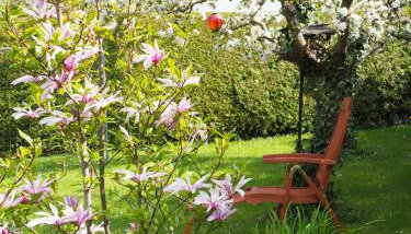 Jarmen Ferienwohnung - Foto 4, Garden