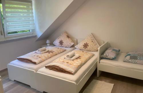 Holunder nah am Waldsee 3 - Foto 12