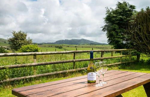 Derwin-Fawr - Photo 13