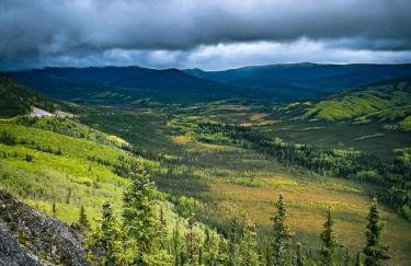 Northern Lights Log House w/ Sauna - Foto 59