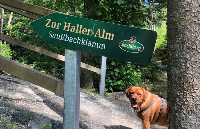 Countryside Holiday Home - Foto 25