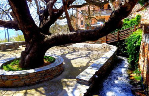 Makronas Apartments - Foto 21