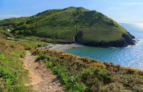 Ddol Cottage Traditional Coastal cottage nr Llangrannog & New Quay with Donkeys - Photo 13