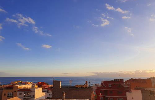 Terraza Alcalá - Photo 6