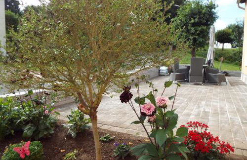 Feriendomizil-Vulkaneifel - Foto 8