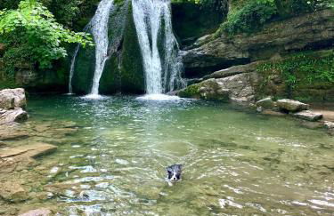 Airton Mill - Foto 32