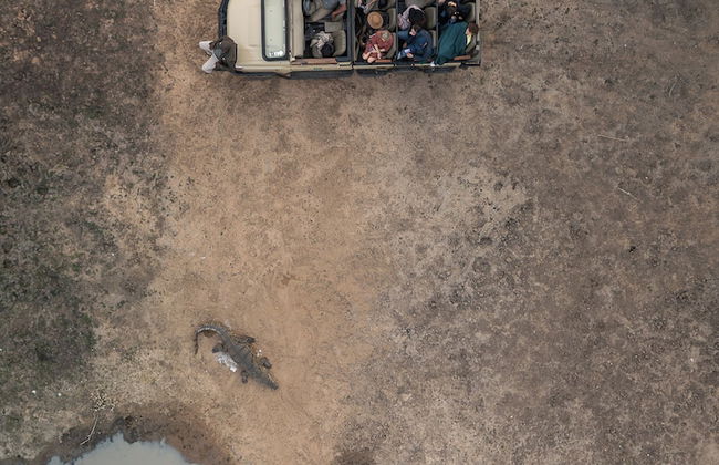 Rhino's Rest Private Luxury Villa - Photo 32