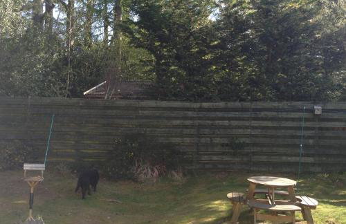 The Pines Self-catering cottage,Wester Ross, Scotland - Foto 20