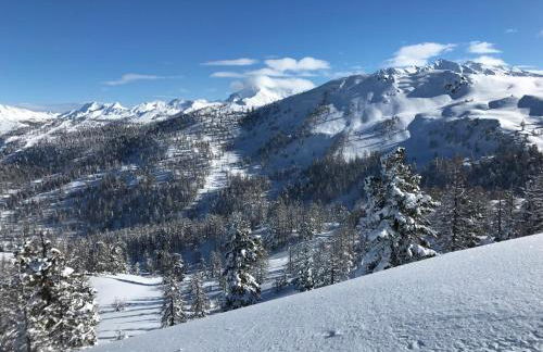 L'Etesy, pied des pistes et spa - Photo 41