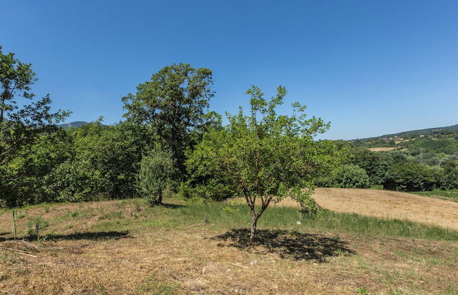 Lo Specchio Di Alice - Foto 28